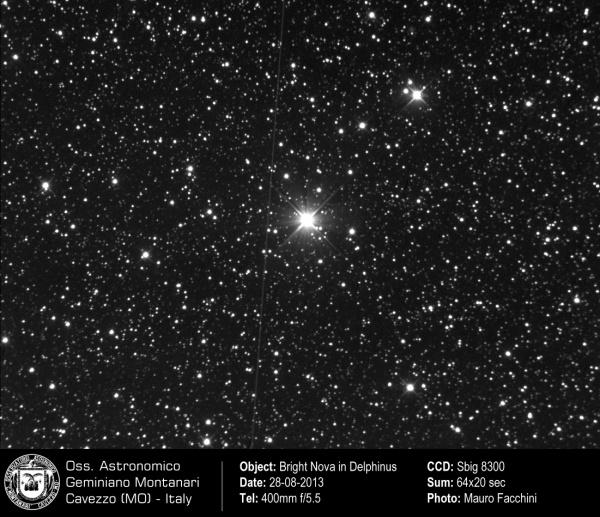 Nova nel Delfino