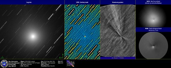 Comets C/2014 Q2 - Lovejoy