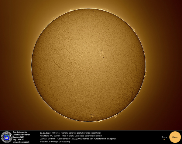 Sole in Halfa