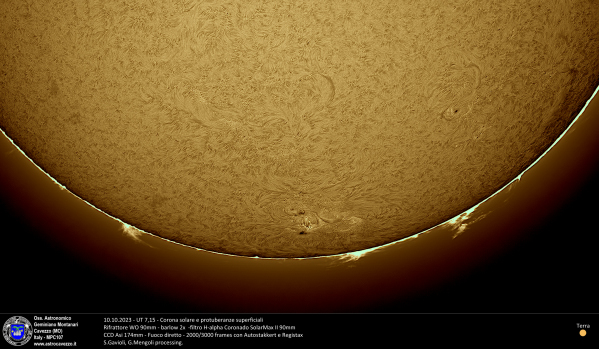 Sole in Halfa