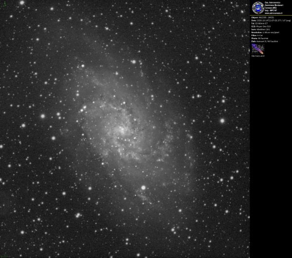 Galaxy NGC595 - M33
