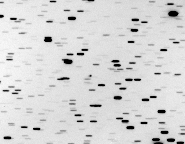 Comet C/2012 S1 (ISON)